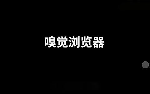 嗅觉浏览器可安装各种插件包括油猴，简约轻便，嗅探功能很强